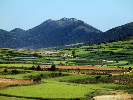 Ruta a la Virgen del Castillo